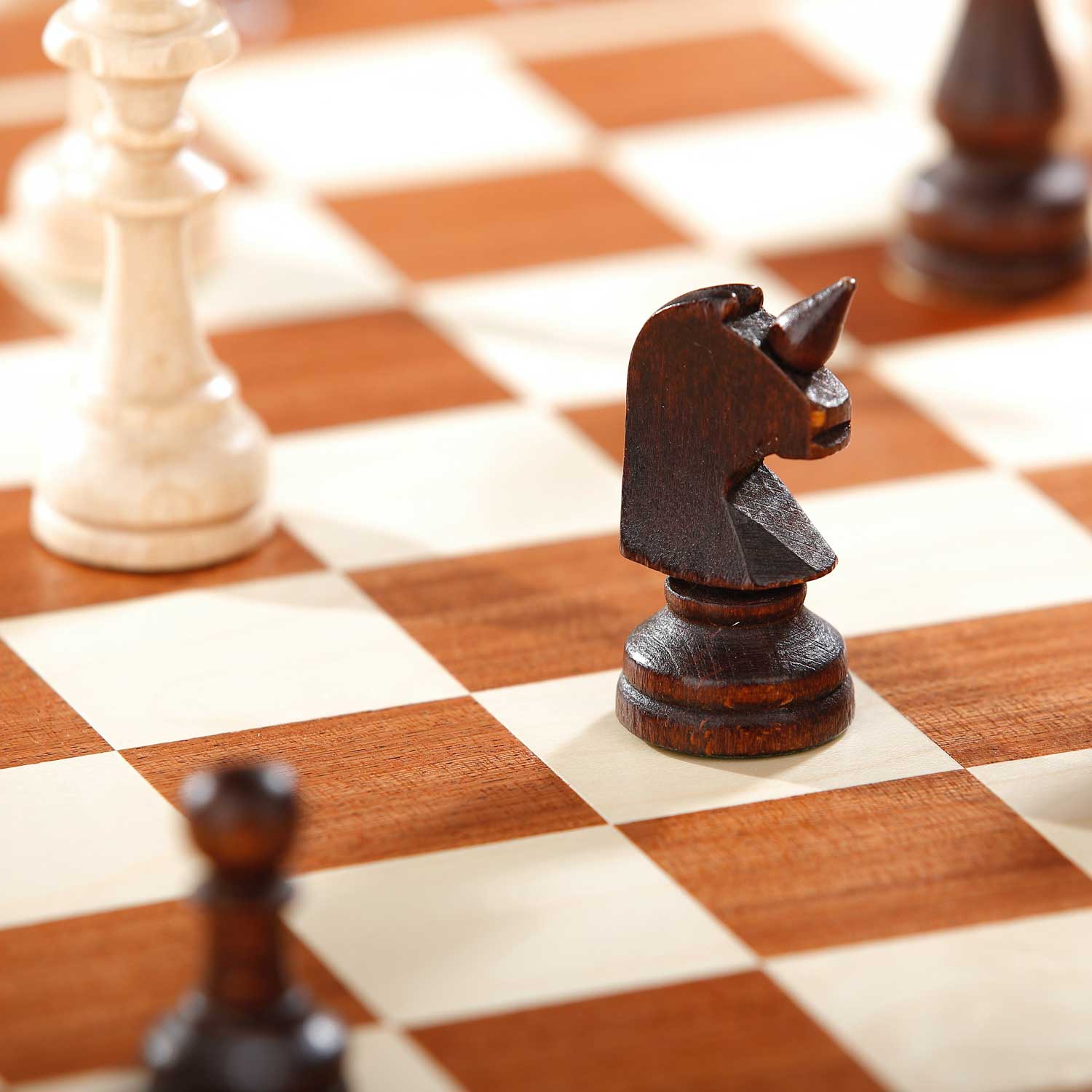 Unleash the Dragon, with one of the World's Leading Experts, Grandmaster Mikhail Golubev!